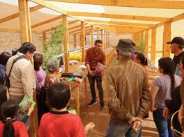 Innovador programa académico combate la desertificación y recupera suelos en la Región de Coquimbo