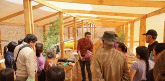 Innovador programa académico combate la desertificación y recupera suelos en la Región de Coquimbo