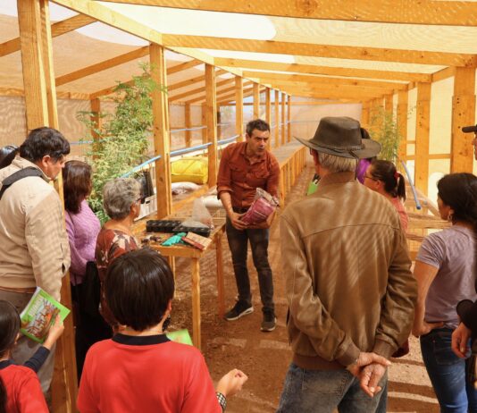Innovador programa académico combate la desertificación y recupera suelos en la Región de Coquimbo