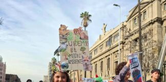 Santiago le dijo no a los retrocesos ambientales y el sufrimiento animal, en masiva marcha realizada este sábado