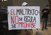 ¿Cuáles fueron las indicaciones presentadas durante la discusión y votación del proyecto de ley que busca la prohibición de las carreras de perros galgos?