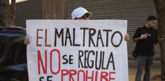 ¿Cuáles fueron las indicaciones presentadas durante la discusión y votación del proyecto de ley que busca la prohibición de las carreras de perros galgos?