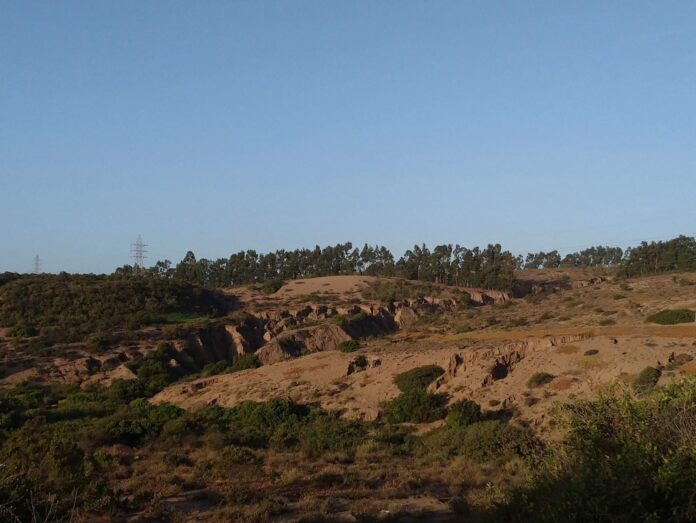 Suelos 1 (1)