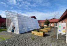 Fundación Patio Vivo inaugura primer Patio Vivo Cultivable en la provincia de Osorno