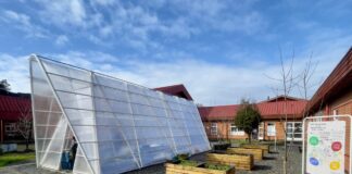 Fundación Patio Vivo inaugura primer Patio Vivo Cultivable en la provincia de Osorno