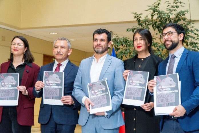 WhatsApp-Image-2026-08-19-at-13.40.56-1024x682 (1) (1)