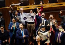 Histórico: Chile le dice no a las carreras de perros galgos, tras la aprobación del proyecto en la C. de Diputados por 80 votos