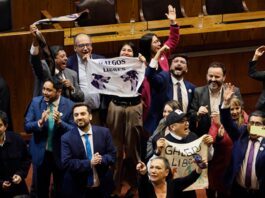 Histórico: Chile le dice no a las carreras de perros galgos, tras la aprobación del proyecto en la C. de Diputados por 80 votos