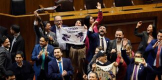 Histórico: Chile le dice no a las carreras de perros galgos, tras la aprobación del proyecto en la C. de Diputados por 80 votos