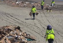 Hallan restos de animales y retiran toneladas de escombros arrastrados por quebradas hasta el borde costero de Antofagasta