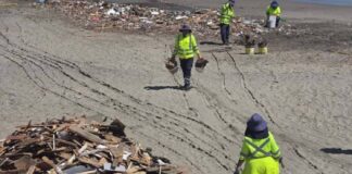Hallan restos de animales y retiran toneladas de escombros arrastrados por quebradas hasta el borde costero de Antofagasta