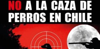 Comisión de Agricultura de la C. de Diputados aprueba en general proyecto que busca autorizar la caza de perros