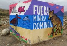 Con nueva ofensiva Andes Iron intenta instalar que Dominga está listo para construirse, pese a que el proyecto sigue pendiente de resolución judicial