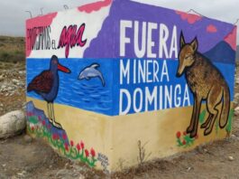 Con nueva ofensiva Andes Iron intenta instalar que Dominga está listo para construirse, pese a que el proyecto sigue pendiente de resolución judicial