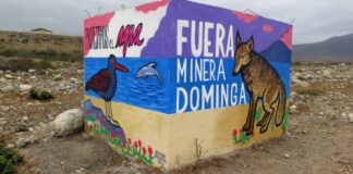 Con nueva ofensiva Andes Iron intenta instalar que Dominga está listo para construirse, pese a que el proyecto sigue pendiente de resolución judicial