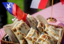 ¿Buscando fondas veganas en Santiago?, ¡Acá te presentamos un listado¡