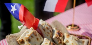 ¿Buscando fondas veganas en Santiago?, ¡Acá te presentamos un listado¡
