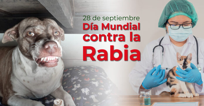 BLOG_PRINCIPAL_RABIA (2)