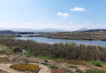 Vecinos y municipio de Puchuncaví denuncian nuevos escurrimientos desde faena de Minera Montecarmelo y alertan posible riesgo para el humedal Los Maitenes-Campiche