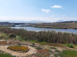 Vecinos y municipio de Puchuncaví denuncian nuevos escurrimientos desde faena de Minera Montecarmelo y alertan posible riesgo para el humedal Los Maitenes-Campiche