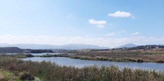 Vecinos y municipio de Puchuncaví denuncian nuevos escurrimientos desde faena de Minera Montecarmelo y alertan posible riesgo para el humedal Los Maitenes-Campiche