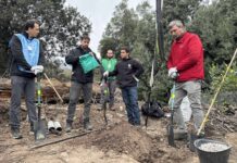Avanza recuperación del bosque esclerófilo en la Región Metropolitana