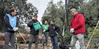 Avanza recuperación del bosque esclerófilo en la Región Metropolitana