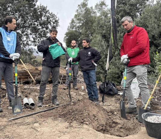 Avanza recuperación del bosque esclerófilo en la Región Metropolitana