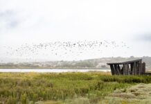 Fundación chilena es premiada en Europa con proyectos que conectan naturaleza, salud y conservación