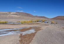 Aprobaron acuerdo que considera la ejecución de un plan de reparación de casi US$ 20 millones en humedales altoandinos de la región de Atacama