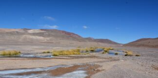 Aprobaron acuerdo que considera la ejecución de un plan de reparación de casi US$ 20 millones en humedales altoandinos de la región de Atacama