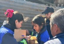 Rescataron a 11 perros que vivían bajo deplorables condiciones en Viña del Mar