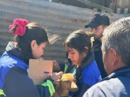 Rescataron a 11 perros que vivían bajo deplorables condiciones en Viña del Mar