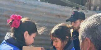 Rescataron a 11 perros que vivían bajo deplorables condiciones en Viña del Mar