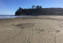Estudio analiza el estado ambiental del Golfo de Arauco y el potencial de sus recursos marinos