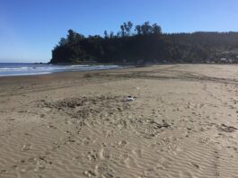 Estudio analiza el estado ambiental del Golfo de Arauco y el potencial de sus recursos marinos
