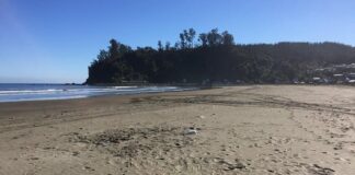 Estudio analiza el estado ambiental del Golfo de Arauco y el potencial de sus recursos marinos
