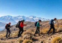Parque Cordillera te invita a celebrar el día mundial del turismo 2026 con actividades en la naturaleza