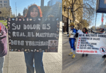 Cuestionan actividad animalista realizada este sábado en Santiago, acusando que no se puede abandonar la calle en la visibilización de la causa