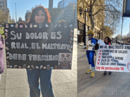 Cuestionan actividad animalista realizada este sábado en Santiago, acusando que no se puede abandonar la calle en la visibilización de la causa