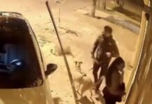 Perrito frustró el robo de un vehículo en Argentina tras alertar a sus dueños de hombres sospechosos