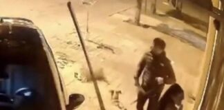 Perrito frustró el robo de un vehículo en Argentina tras alertar a sus dueños de hombres sospechosos