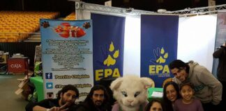 Todos podemos aportar: ¡Ayúdanos a seguir ayudando, aportando al trabajo de epanews.cl en pos de los derechos de los animales y la naturaleza¡