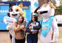 Concejal de Punta Arenas pide revisar recorte presupuestario del 86% del Programa de Tenencia Responsable y asegurar el trabajo por los animales