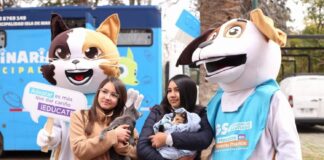 Concejal de Punta Arenas pide revisar recorte presupuestario del 86% del Programa de Tenencia Responsable y asegurar el trabajo por los animales
