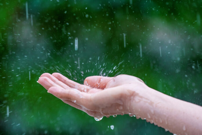 Lluvia primaveral (1)