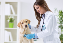 71 años de historia: ¡Hoy el Colegio Médico Veterinario (Colmevet) está de aniversario¡