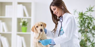 71 años de historia: ¡Hoy el Colegio Médico Veterinario (Colmevet) está de aniversario¡