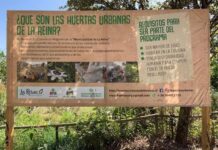 Emblemático programa Huertas Urbanas de La Reina cumple 25 años impulsando la soberanía alimentaria y la regeneración socioecológica