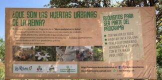 Emblemático programa Huertas Urbanas de La Reina cumple 25 años impulsando la soberanía alimentaria y la regeneración socioecológica